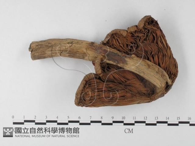 登錄號:F0002310藏品圖，第1張