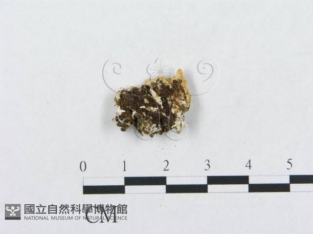 登錄號:F0019950藏品圖，第4張