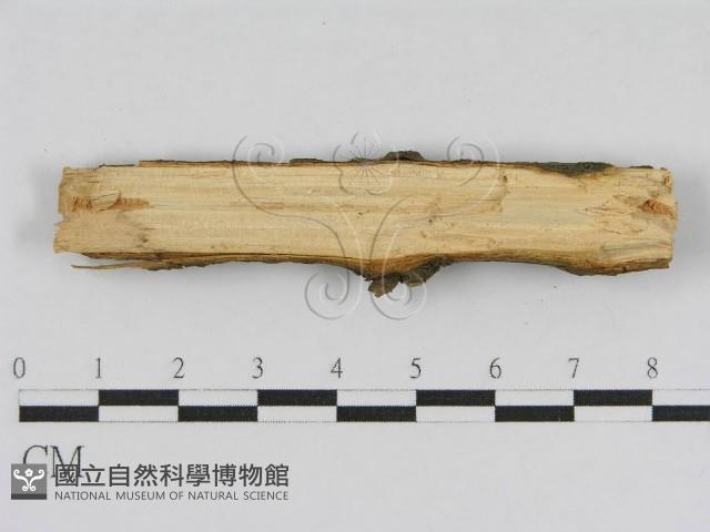 登錄號:F0010450藏品圖，第4張