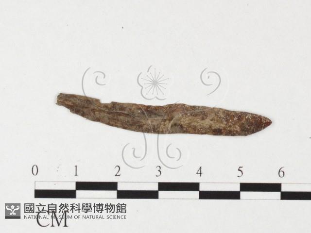 登錄號:F0026450藏品圖，第4張