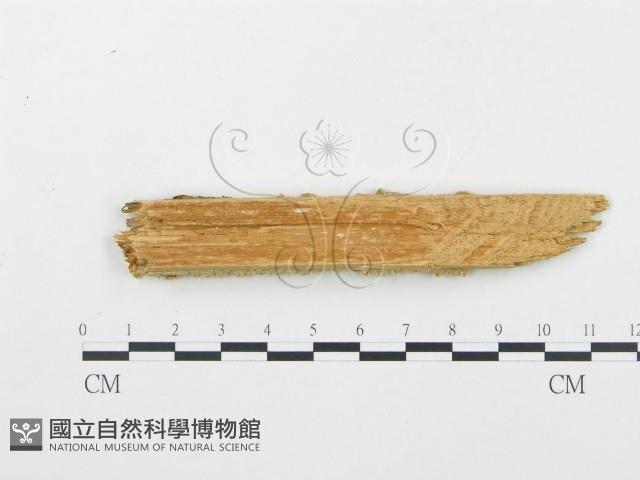 登錄號:F0005750藏品圖，第4張