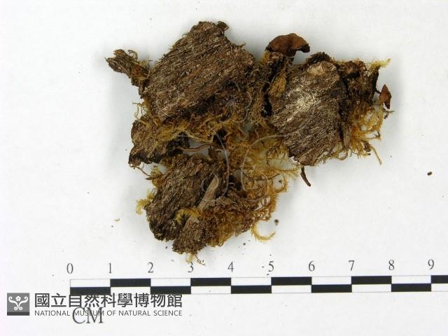 登錄號:F0023150藏品圖，第4張