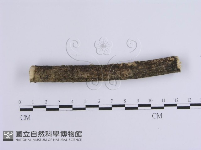 登錄號:F0002940藏品圖，第4張