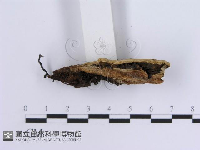 登錄號:F0014040藏品圖，第4張