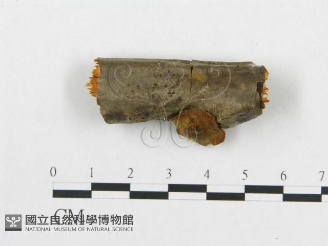 登錄號:F0007040藏品圖，第4張