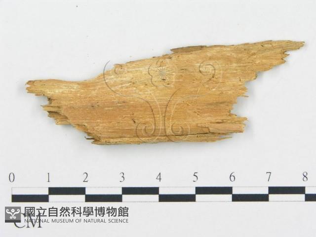 登錄號:F0013930藏品圖，第4張