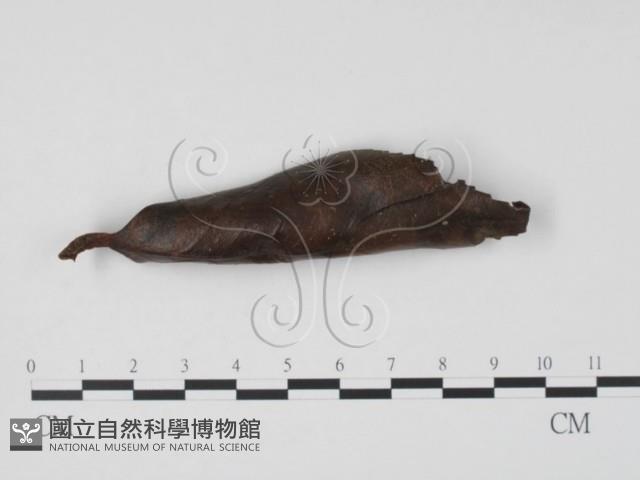 登錄號:F0022430藏品圖，第4張