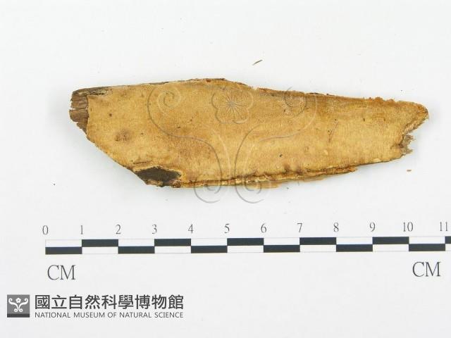 登錄號:F0014130藏品圖，第4張