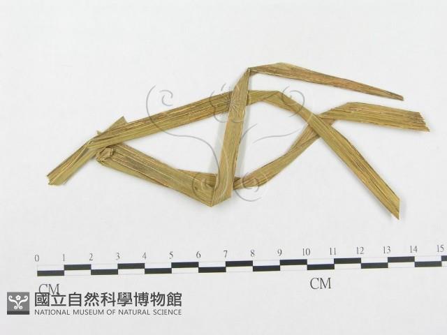 登錄號:F0019330藏品圖，第4張