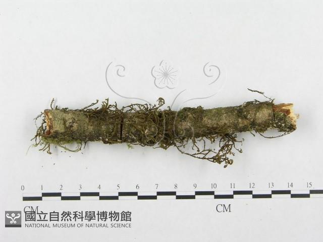 登錄號:F0001270藏品圖，第4張