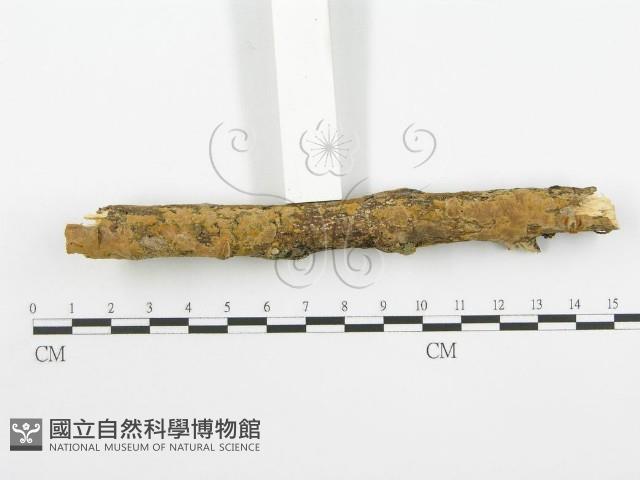 登錄號:F0001570藏品圖，第4張