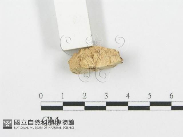 登錄號:F0006666藏品圖，第4張