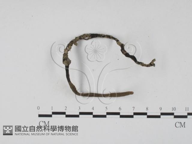 登錄號:F0016526藏品圖，第4張