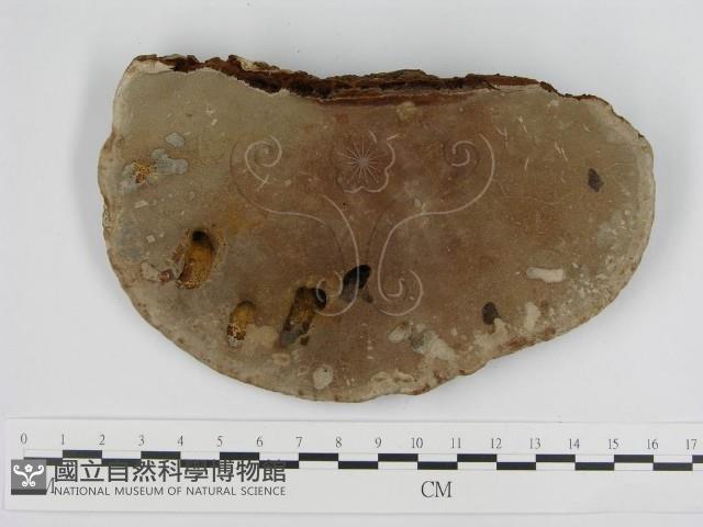 登錄號:F0012026藏品圖，第4張