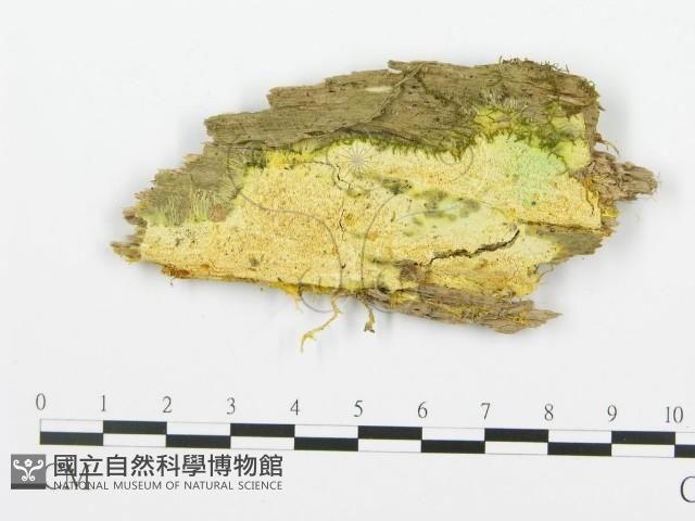 登錄號:F0017326藏品圖，第4張