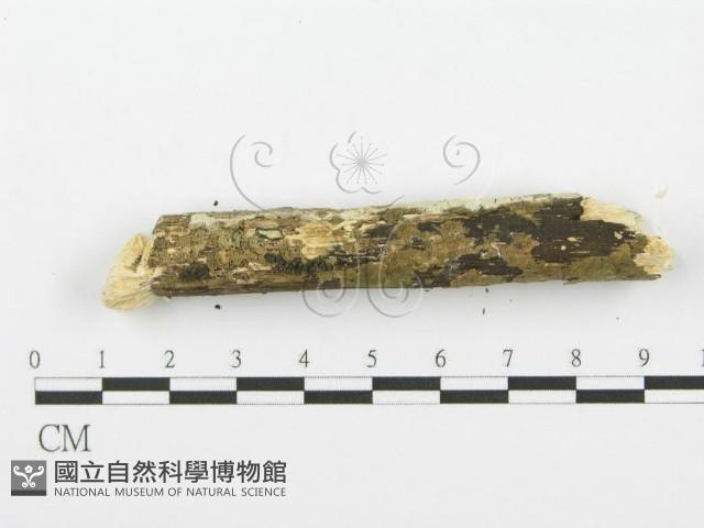 登錄號:F0001606藏品圖，第4張