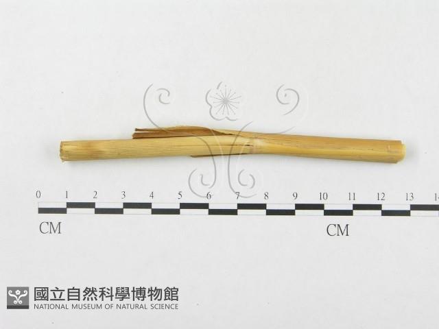 登錄號:F0019306藏品圖，第4張
