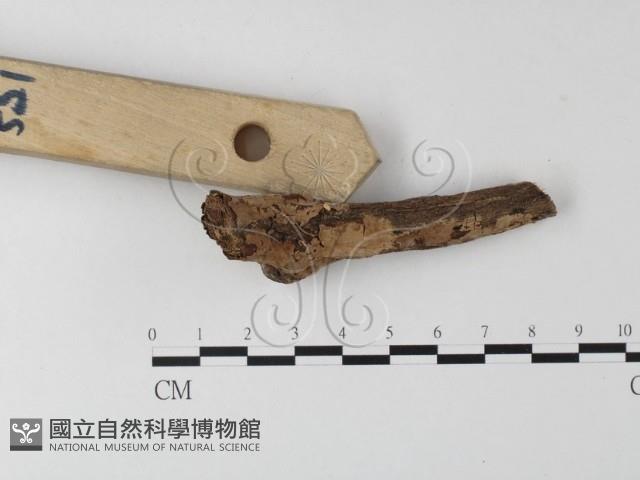 登錄號:F0005116藏品圖，第4張