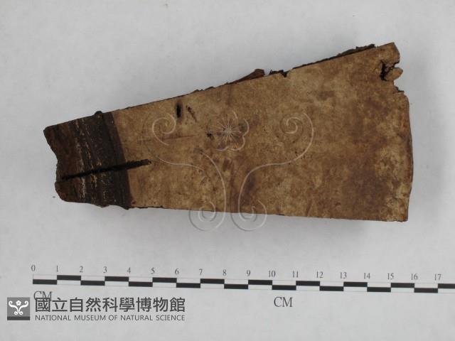 登錄號:F0018856藏品圖，第4張