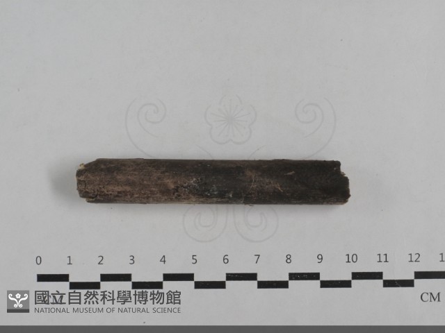 登錄號:F0033656藏品圖，第4張