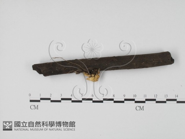 登錄號:F0000756藏品圖，第4張