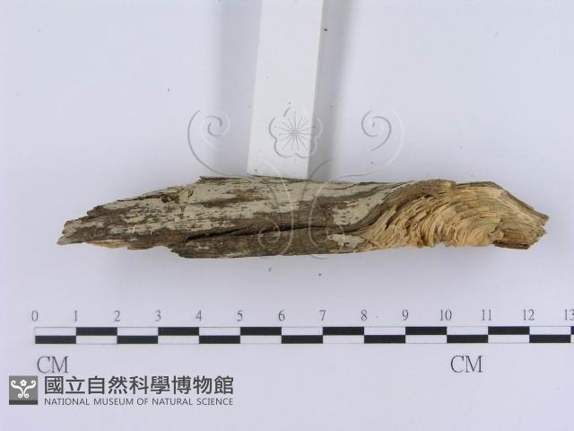 登錄號:F0003946藏品圖，第4張