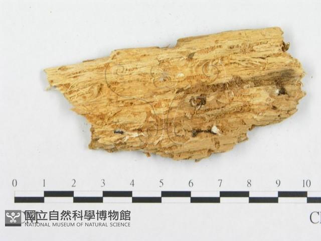登錄號:F0017646藏品圖，第4張