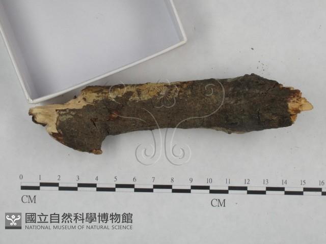 登錄號:F0021746藏品圖，第4張