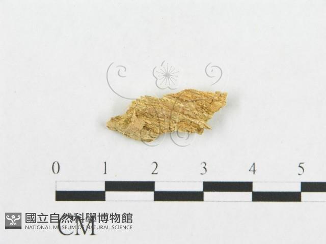 登錄號:F0017546藏品圖，第4張