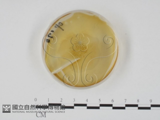 登錄號:F0022146藏品圖，第4張