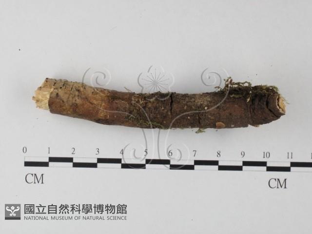 登錄號:F0001046藏品圖，第4張