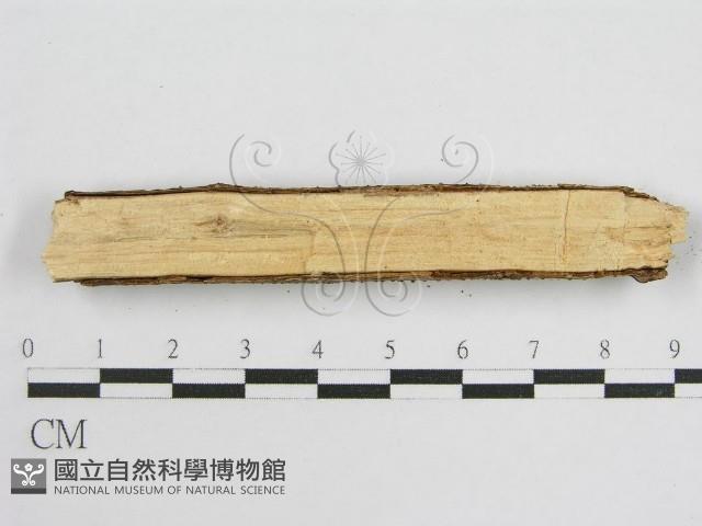 登錄號:F0012836藏品圖，第4張