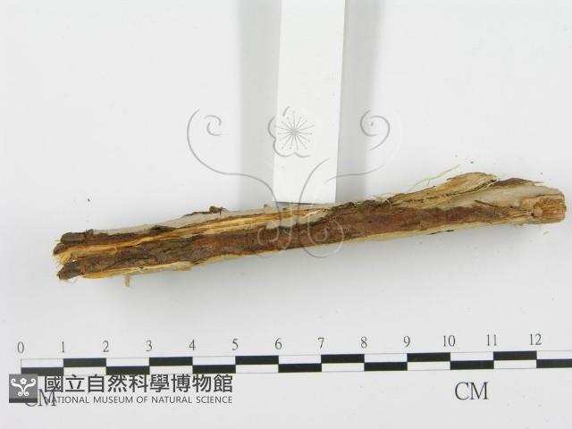 登錄號:F0001936藏品圖，第4張