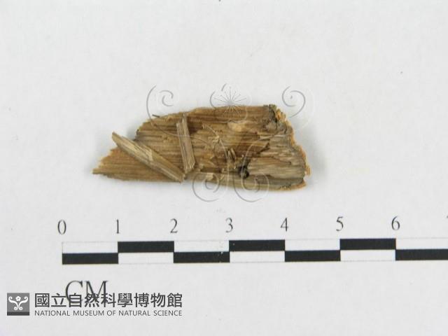 登錄號:F0010436藏品圖，第4張