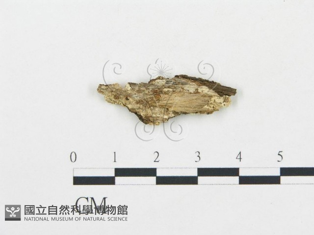 登錄號:F0017436藏品圖，第4張