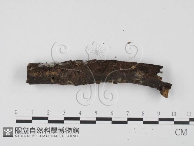登錄號:F0005136藏品圖，第4張