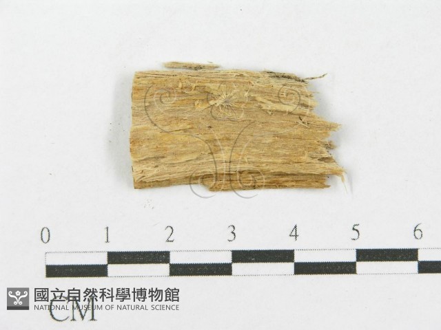 登錄號:F0015776藏品圖，第4張