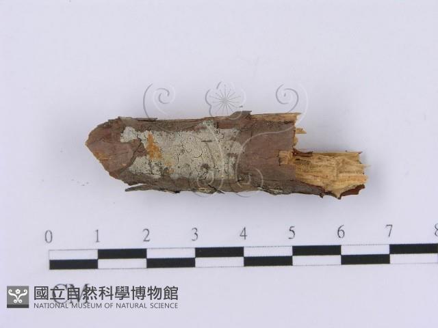 登錄號:F0001376藏品圖，第4張
