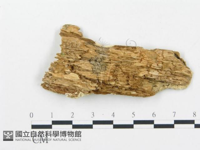登錄號:F0017376藏品圖，第4張