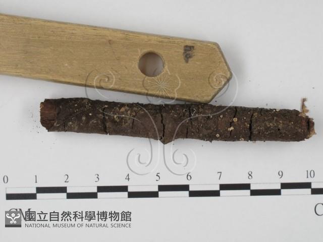 登錄號:F0012861藏品圖，第4張