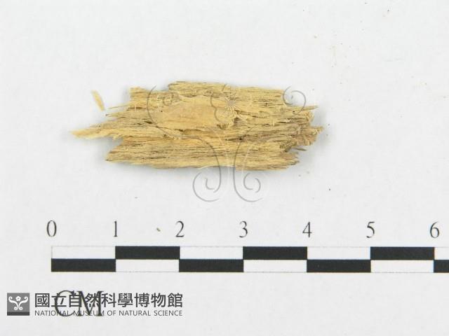 登錄號:F0017361藏品圖，第4張