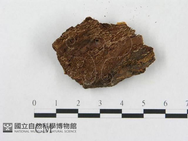 登錄號:F0019921藏品圖，第4張
