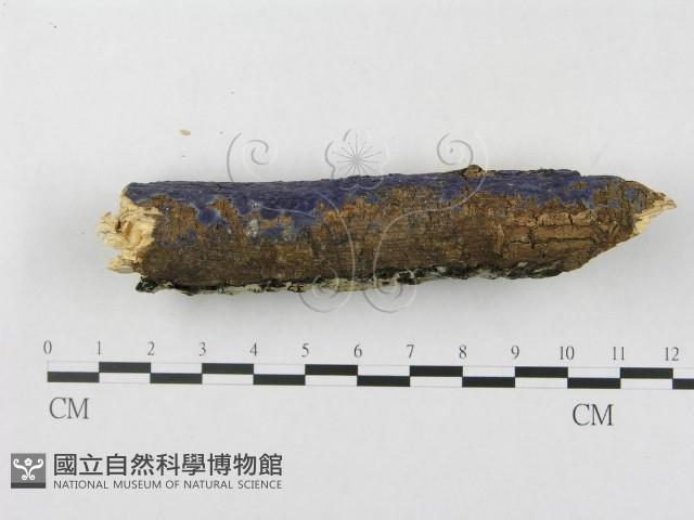 登錄號:F0018721藏品圖，第4張