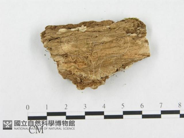 登錄號:F0007121藏品圖，第4張