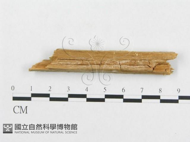 登錄號:F0014021藏品圖，第4張