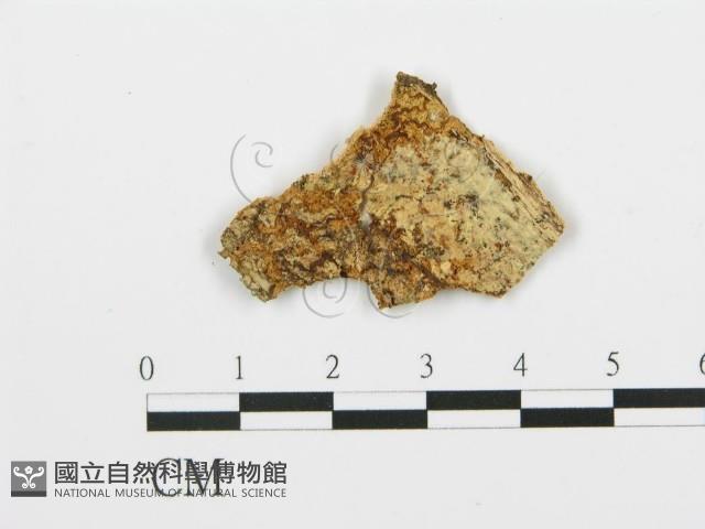 登錄號:F0017701藏品圖，第4張