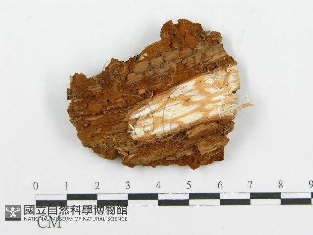 登錄號:F0017301藏品圖，第4張
