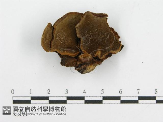 登錄號:F0002211藏品圖，第4張