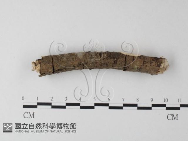 登錄號:F0025411藏品圖，第4張