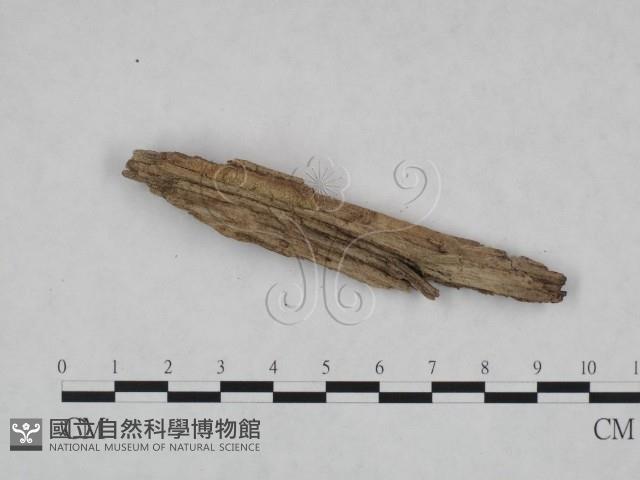 登錄號:F0022011藏品圖，第4張